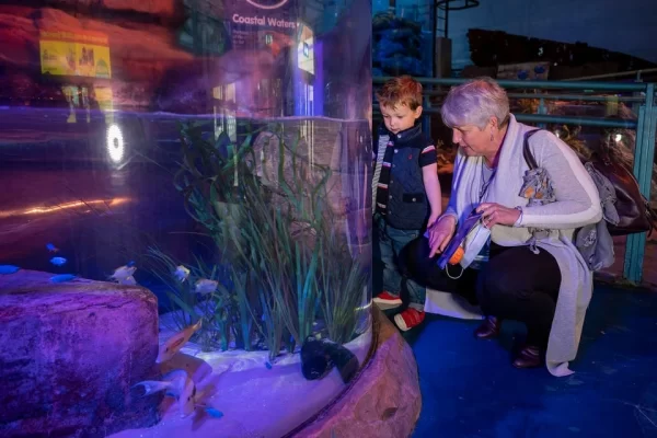 National Sea Life Centre Entrance Ticket